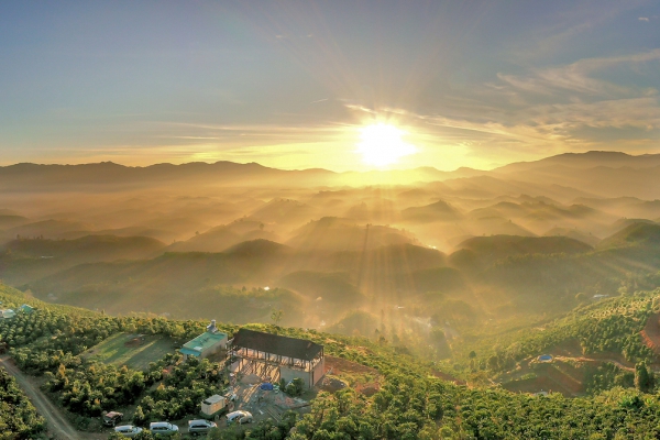 Buddhist Humanism